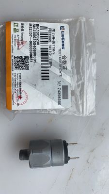 OEM Pressure Regulating Valve 13C0238 Pressure Switch