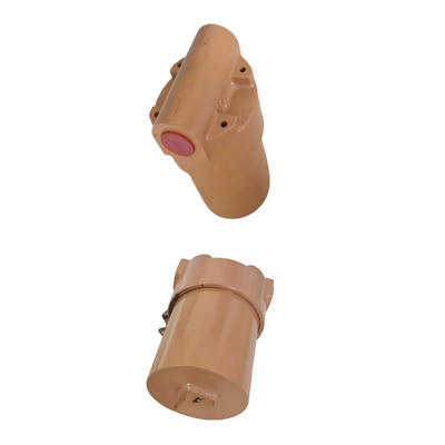 53C0001 Oil Filter For LIUGONG Wheel Loader ZL50C、ZL50CN、CLG855、CLG855N、CLG856