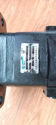 11C1724 dual pump For Liugong Excavator CLG920 CLG922 CLG923 CLG925 Excavator Filter