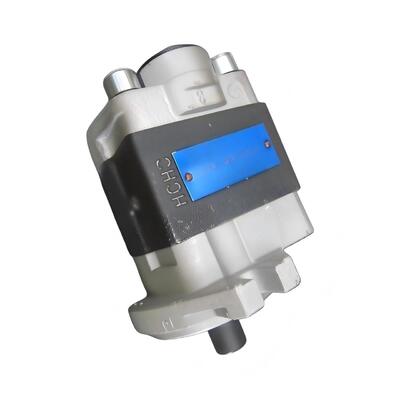 11C0925 GEAR PUMP For Liugong Forlift CLG3-3.8T Series A 2-2.5T Series E 2-2.5T