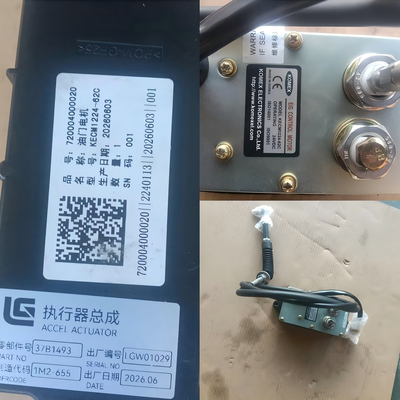 37B1493 Governor Actuator For LIUGONG Excavator CLG920D、CLG922D、CLG925LC、CLG927D、CLG930D、CLG933D