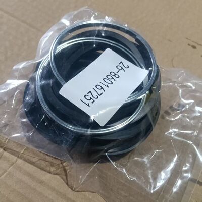 Zestaw uszczelnień zacisku hamulcowego XCMG 860167251 do ładowarki kołowej ZL50GN、LW500FN、LW500FV、LW500KV